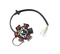 Motorbike Stator Magneto Magneto Generator Engine Stator Coil 6 Poles Spare Parts For 125cc 150cc Motorcycle Coil Ignition Magneto Stator Rotor
