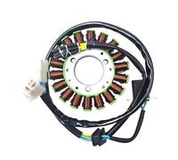 Motorbike Stator Magneto Motorcycle Generator Stator Coil Comp For Hy&osung GT650R ST7 GV650 GT650X GV650 GT650 TE450 32101HN9101 Generator Engine