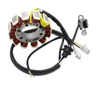 Motorbike Stator Magneto Motorcycle Stator Coil 3D6-H1410-00 For XT125 XT125R XT125 XT125X 2005-2006 Motorcycle Generator Magneto Stator Coil