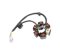 Motorbike Stator Magneto Motorcycle Stator Coils For ZS1P62YML-2 2V ZS190 Zo&ngshen 190cc 2v Engine With Starter Start Pit