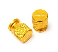 Motorbike valve core caps For HON@&DA TRANSALP 600 650 700 XLV Transalp CNC Airtight Covers Motorcycle Accessorie Wheel Tire Valve Stem Caps(Uu-3)