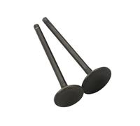 Motorcycle 2PC Intake And Compatible AN125 125 VS125 12912-20E00-00 1291120E0000 Four Stroke