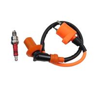 Motorcycle 5/6 Pin Ignition Coil With Racing CDI Box For GY6 50cc 70cc 90cc 110cc 125cc 150cc 139QMB 152QMI 157QMJ ignition coil module(Set of 2)