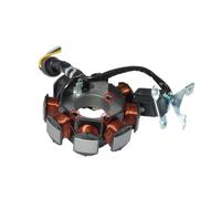 Motorcycle 5 Wire 8 Poles Magneto Stator Coil Generator Spare Parts For CG125 ZJ125 CG ZJ 125 125cc FRTRGVUVXP(Partial Hole)