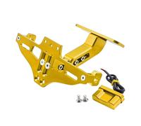 Motorcycle Accessores For Keeway RKF 125 RKF125 2018-2023 2022 2021 2020 2019 Rear License Plate Mount Holder Turn Signal Lights Motorbike Number Plate Holder(GOLD)
