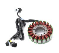Motorcycle accessories 32101-14G00 Motorcycle Magneto Generator Alternator Engine Stator Charging Coil For Suzuki AN250 For Burgman250 AN400 For Burgman400 2003-2006