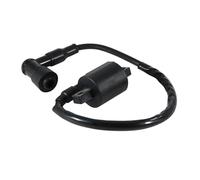 Motorcycle Accessories Start Engine Ignition Coil For S&uzuki FB100/FB100D/ATV LT125/ATV LT250R QuadRacer 250