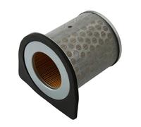 Motorcycle Air Filter For CBF250 CBX250 Daelim TWISTER 250