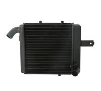 Motorcycle Aluminum Replacement Left Right Radiator Cooler Compatible With Benelli 1130 All Years 1998-2002(Only Right Side)