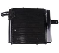 Motorcycle Aluminum Replacement Left Right Radiator Cooler Compatible With Benelli 1130 All Years 1998-2002(Only Left Side)