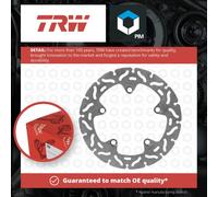 TRW Racing brake discs, rear, with ABE