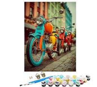 Motorcycle Car Paint by Numbers for Children, 12 x 16 in Large Paint by Numbers for Adults, DIY Oil Paintings Crafts Hobbies for Women Gifts With Brushes and Acrylic Pigment Home Wall Decor BJHWK134
