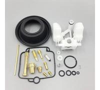 Motorcycle Carburettor Repair Kit Compatible With Suzuki DR 250 SE 1990-1995 DR350 SE 1994-1999 Carb Diaphragm Float Carb Overhaul Kit