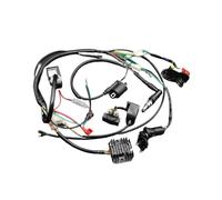 motorcycle CDI Complete For Engine Electrics Wiring Harness Spark For AC CDI Ignition Coil For