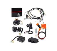 motorcycle CDI Wire Wiring Harness Ignition Coil Left Handlebar Switch Igniter CDI Relay Rectifier Complete Kit For Yamaha for Warrior YFM 350 X
