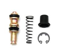 Motorcycle Clutch Brake Pump Piston Plunger Repair Kit Master Cylinder Piston Rigs Replacement Accessories 11mm 12.7mm 14mm 16mm Compatible With Various Models(Fr 16.0mm Steel)