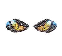 Motorcycle cover and mouldings Fit For Yamaha MT-10 MT10 2016-2017 Motorcycle Headlight Sticker Guard Head Light Stickers Protector Film Decoration Motorcycle Accessories (Color : C)