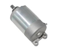 Motorcycle Electrical Starter Motor Fit For CH250 ELITE CN250 HELIX 31200-KS4-018 31200-KM1-008 Spring 250 CF250 Moto(Silver)
