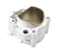 Motorcycle Engine Bore Size 58mm Cylinder Piston Ring Kit Compatible with TE 150 SX XC-W 51730038000 51630007000I 51630007000II part(Cylinder)