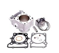 Motorcycle Engine Cylinder Piston Gasket Set Compatible With KLX250 KLX300 BX250 250SL BR250 Z250SL ABS Models 11005-0112 11005-1983