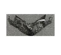 motorcycle front spoiler For C&FMOTO For 450SR Front Lip Spoiler Aerodynamic Wing Kit Wind Stabilizing Winglet Accessory Motorcycle LOCKMEIHUA(Forged carbon)