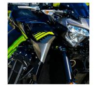 Motorcycle Front Spoiler Motorcycle Radiator Front Gas Tank Side Trim Insert Cover Panel Fairing Cowl For Z900 Z 900 2020 2021 2022-2024 Aerodynamic Wing(Light silver grey)