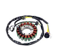 Motorcycle Generator Stator Coil 300cc Compatible With FA-H300 FA-D300-300cc ATV 300B 2.1.01.2060