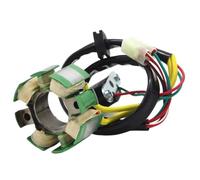 Motorcycle Generator Stator Coil 50439004000