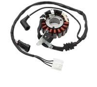 Motorcycle Generator Stator Coil 58202R Compatible With GTS300 MP3 300 X7 125 X8 250 X10 125 X EVO 250