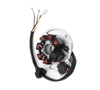 Motorcycle Generator Stator Coil Accessories For CW50RS For BWS For Next For Generation For CW50RSP For BOOSTER For CW50RSX For BUMP For EW50 Generator Stator Coil