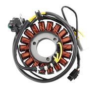 Motorcycle Generator Stator Coil Assembly Kit Compatible With BR250 Z250SL ABS BX250 250SL ABS BR 250 Z 250SL Z 250 SL