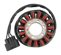 Motorcycle Generator Stator Coil Comp Compatible With BMW S1000RR K46 2009-2018 K47 2013-2018 HP4 K42 2011-2014 S1000XR K49 HP 4 1000 EFI