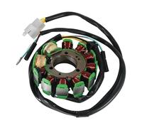 Motorcycle Generator Stator Coil Comp For REX For Aspen For SMC For Barossa For Explorer For Tomahawk 250 2006 For OEM:35560-CBT-00 Lgnition Coil
