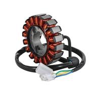 Motorcycle Generator Stator Coil Comp For SWM For SM125R For RS125R For Varez For Hoku 125 ACE OF For SPADES For OUTLAW OEM:31140381 Coil Ignition