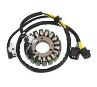 Motorcycle Generator Stator Coil Compatible With DR250 250XC 1994-2007 Fits Djebel 250 1998-2008 Part Numbers 32101-14D10-000 3210114D10000