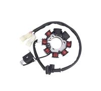 Motorcycle Generator Stator Coil Compatible With TRX250TE TRX250TM 2005-2020 31120-HM8-B00 31120-HM8-B01