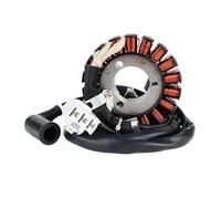 Motorcycle Generator Stator Coil Stator Coil For For Sportcity 125 250 300 I E For Sport City Cube Atlantic Scarabeo 300 250 IE LIGHT IE/E3 SR125 MAX125