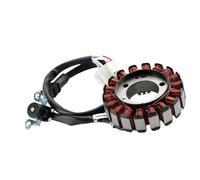 Motorcycle Generator Stator For YZF-R125 2014 2015 2016 For YZF-R15 2011 2012 2013 2014 Generator Magneto Stator Coil 22B-H1410-00-00 3C1-H1410-11-00