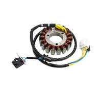 Motorcycle Generator Stator Magneto Compatible With GTS250 EURO 2 2005to2006 31120-HMA-000