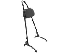 Motorcycle Gloss Black Polished Sissy Bar Fit For Harley Sportster Forty-Eight Iron 883 1200 XL 48 72 04-UP Air Filter Set Air Intake Filter