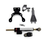 motorcycle handlebar damper Compatible With Z900 2020-2023 2024 Motorcycle Steering Damper Stabilizer Bracket Linear Shock Absorber Support Universal Accessories(Silver)