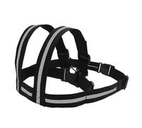 Motorcycle Harness - Adjustable, Two Handled, Child Safety Belt, Secure Riding Support Strap | Protective Harness Accessory for Baby Children Motorcycle Travel