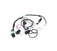 Motorcycle igniter CDI Motorcycle Motorbike Full Electrics Wiring Harness Coil CDI Stator Ignition For 50CC-110CC ATV Bike Car Styling
