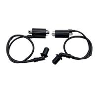 Motorcycle Ignition Coil 2Pcs, For Virago XV125 XV250, For V-Star 250CC 4RF-82305-00 XTZ750 LIFAN250 Motorcycle Ignition Coil Motorcycle Spark Coil