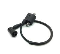 Motorcycle Ignition Coil For 50cc 125cc 150cc 200cc For D8TC CG ZJ High Pressure Coil ATV Quad Dirt Pit Bike Kill Switch Coil