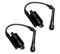 motorcycle ignition coil For EN500C For Vulcan 500 Ltd 1996-2009 Motorcycle CDI BOX Igniter Set Of 2 Ignition Coils Module Box Ignitor