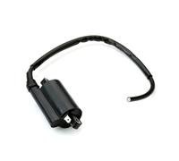 Motorcycle Ignition Coil For Hyosung GT For Comet R 250 GV For Aquila MS3 E3 250cc TE Rapier ATV 450 Motorcycle Ignition Coil
