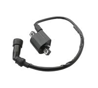 Motorcycle Ignition Coil For XT125 For YBR125 XT For YBR 125 3D9-H2310-00 Ignitions Coils
