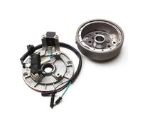 Motorcycle ignition coil motor stator flywheel stator plate ignition coil suitable for Yinxiang YX140 YX 140cc 1P56FMJ W063 BSE suitable for SDG SSR (dark gray)