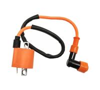Motorcycle Ignition Coil Motorcycle Performance Parts Ignition Coil System Unit For D8TC 50 60 80 100 125 150CC ATV Pit Bike Moped(90)